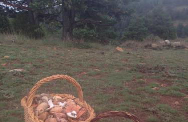 Mas de Leon - Foto 140