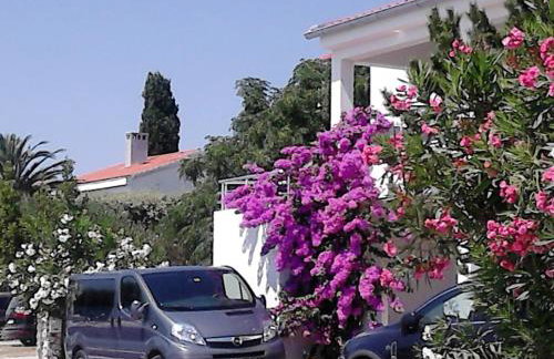 Apartment Sanja - Foto 37