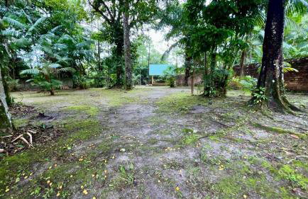 COP30 - Belém - Refúgio perfeito em Benfica-Pará - Photo 30