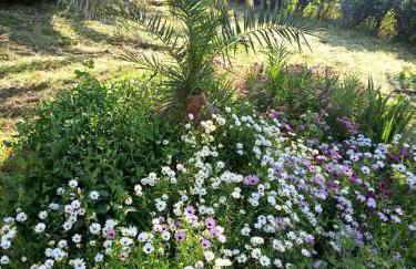 Anna Daniil Oasis Studios Skala Kallonis - Foto 48