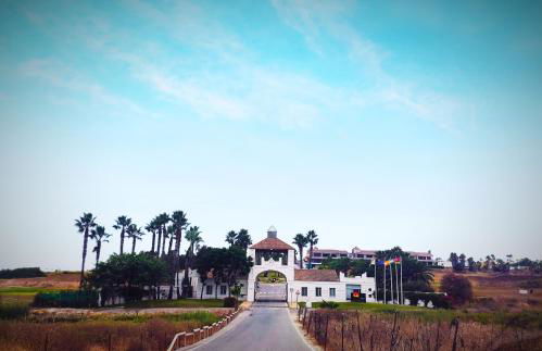 El ático de los flamencos, Apartamentos Living Sur - Photo 13