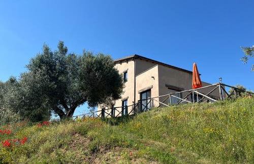 Fattoria Iluigi - Foto 11