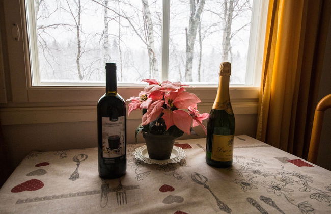 Arctic Resort Delight - Foto 20