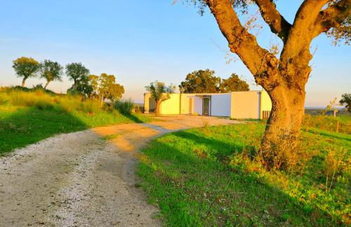 MONTE DA FIFAS Alentejo, Montargil - Foto 12