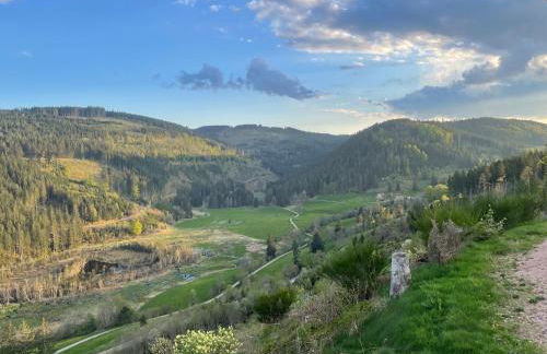 Ferienwohnung am Hirtenpfad - Foto 5
