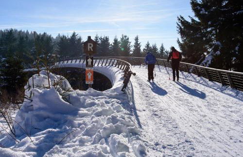 Ferienwohnung Tannenblick 3-2-3-3 - Foto 17