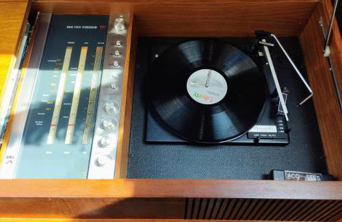 Cosy barn on rural smallholding with alpacas, goats & pigs - Foto 7