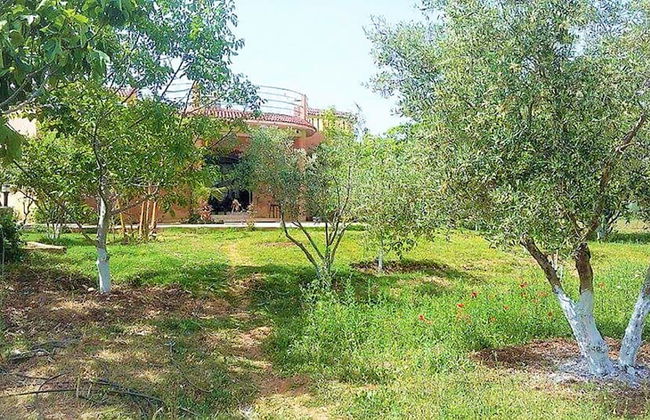 Ferme Andalousse - Foto 19