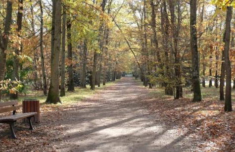 L'Escale Orléanaise - Foto 19