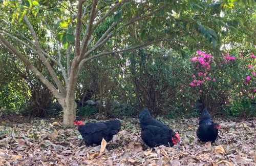 Vistalinda Farmhouse - Foto 30