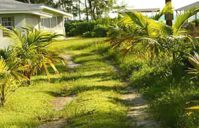 Nathan's Lodge - Photo 45