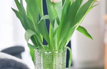 Nara Seaside Retreat - Foto 18