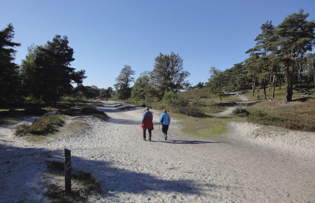 2 bedroom House in Brunssum with terrace - Photo 18