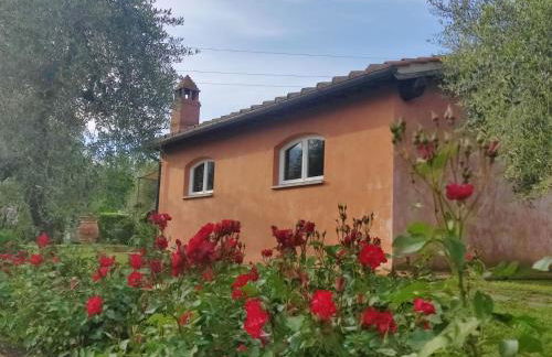 La Casa delle Rose - Photo 3