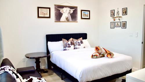 New SW Inspired Home, 9 Guests, Tesla Ready, Pet Friendly - Foto 5