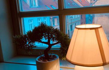 UsedomTor 1750 - Foto 31