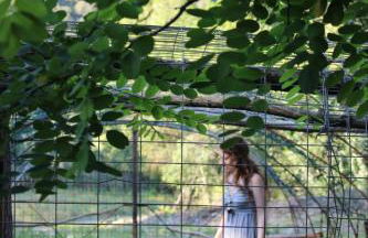 La Casella Antico Feudo di Campagna - Foto 118