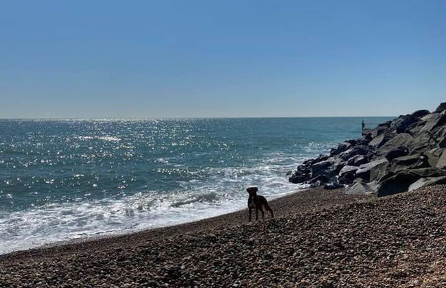 Stunning Apartment in Clifton Gardens, Westend - Foto 14