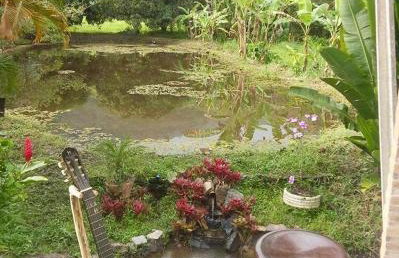 Rancho Refugio Verde AL - Foto 63