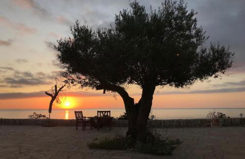 Apartment Llevant with access to the sea - Photo 26