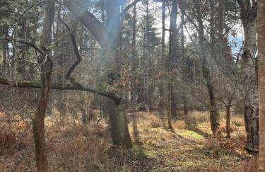 Charming Cottage nestled in the heart of a picturesque village - Foto 22