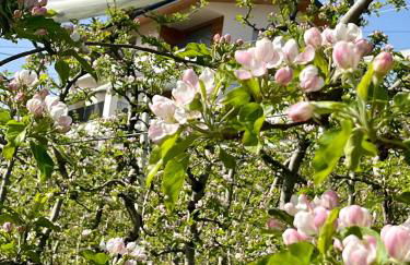 Maso Valèr - Agritur - Foto 59