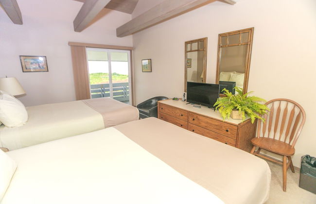 The Grey Gull - Foto 18