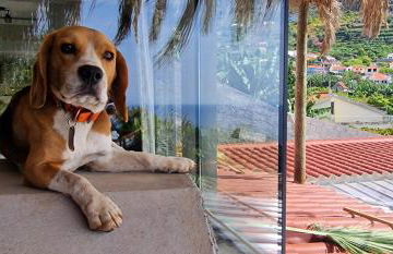 Torre Bella Gardens - Foto 66