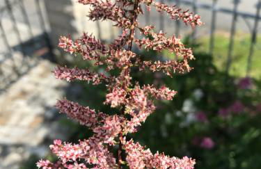 Ferienwohnung Gürth - Foto 3