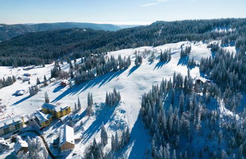 kleineauszeit3, Feldberg, direkt an Skipiste, mit Sauna - Photo 41