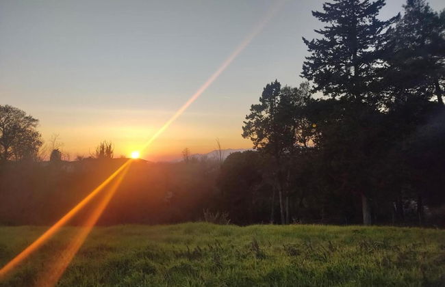 Tuscany's Hidden Garden Escape - Foto 39