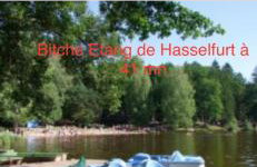 Grand appartement au cœur de la région alsacienne - Photo 75