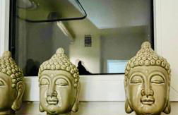 PF Apartments D2 - Foto 12