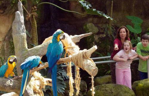 The Q Loft Galveston - Foto 57