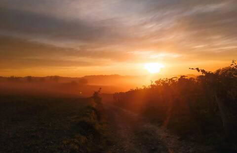 Il Bumbunin - Foto 29