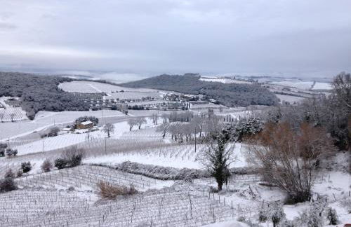 Il Burellino Wine & Resort - Photo 70