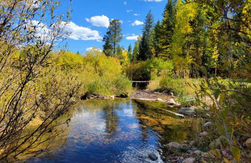 Deck and Mtn Views! Family A-Frame Cabin in Bailey - Foto 22