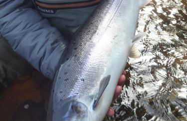 Tanar View - Photo 25