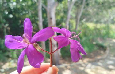 Chalé do Ypê 1 - Foto 19