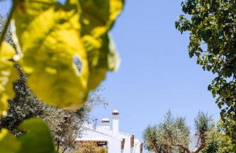 Monte do Pomar - Foto 57