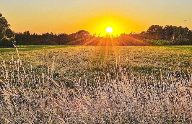 10 Person Holiday Home in Syssleback - Foto 6