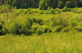 Sonnenbühl Inn Suite & Garden an den Thermen '35C' - Foto 12