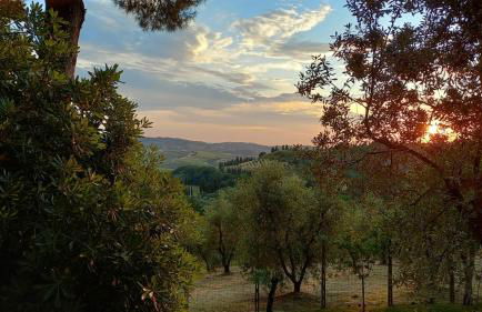 PietraMilia - Foto 17