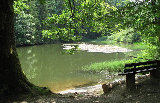 Naturparadies Bad Laasphe - Photo 31