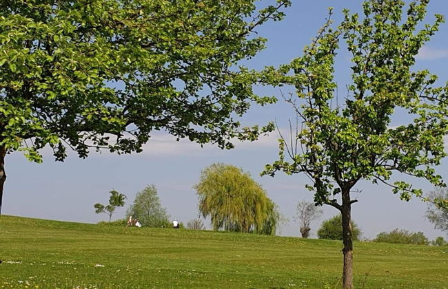 Ferienhaus in Meisdorf - Foto 30