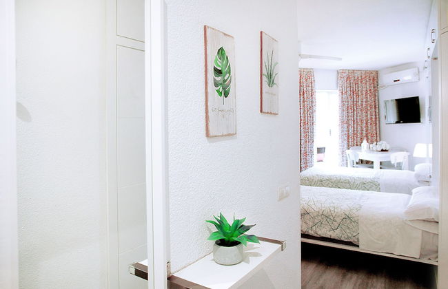 Apal Chinasol - Foto 7