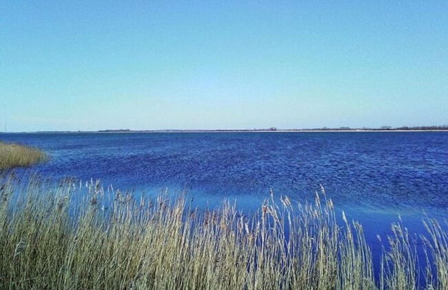 Ferienhaus in Vieregge mit Terrasse - Foto 18