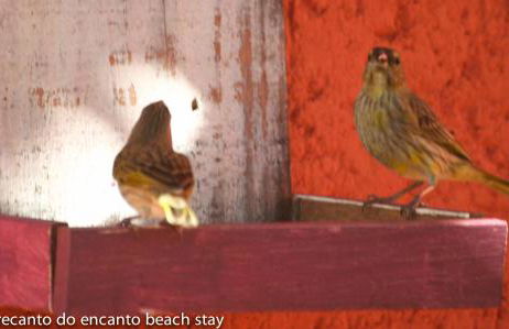 Recanto do Encanto Eco Beach Stay - Foto 85