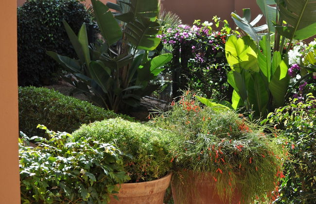 ApartHotel Eden Beach - Foto 21