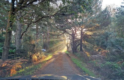 Fawn Lodge, Kelling Heath - Woodland Setting and Pets Welcome - Photo 32